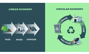 Linear vs Circular Economy