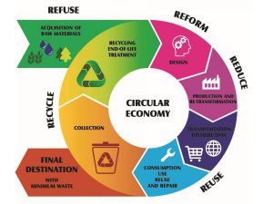 How Does Circular Economy Work